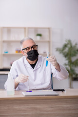 Wall Mural - Old male chemist working at the lab