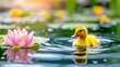   A duck atop a serene body of water floats beside a pink water lily, both gracefully resting on the water's surface