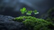   Two tiny green plants rest atop a mossy, verdant terrain Beyond, a murky fog obscures the sky