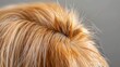   Close-up of long blonde hair in a knotted style