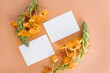 Aesthetic branding or invitation cards template. Blank paper invitation card sheets with empty mock up copy space, orange star flower stem on pale peachy background