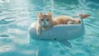A beige cat with ice cream is floating on an inflatable dolphin in the sea at a resort.