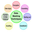 Seven Techniques for Data Masking
