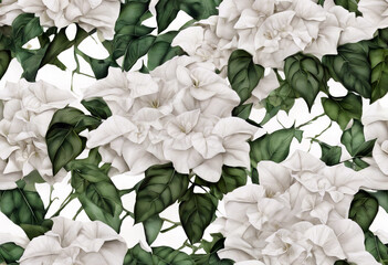 Wall Mural - bougainvillea leaves elegant look their White green flowers Background Pattern Flower Summer Nature Tree Spring Leaf Floral Beauty Garden Color Plant Tropical Asian Park Colorful G