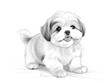 Black and white sketch of an adorable Shih Tzu puppy sitting curiously. It has big eyes and long, flowing fur.