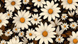 Solid background of  beautiful flowers, large and small daisies.