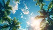 tropical summer background with palm tree on sunny sky