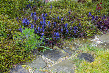 Wall Mural - stone paved garden path and flowers - roses and lavender