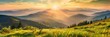Spring In The Mountains. Beautiful Sunrise Landscape with Green Grass and Forest