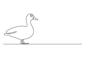 Wall Mural - Duck in one continuous line drawing vector illustration. Pro vector