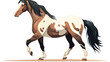 American Paint Pinto horse breed. Stallion profile