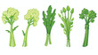 Cute green and monochrome celery with leaves and st