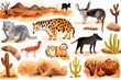 desert animals, adapted desert animals
