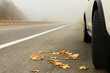 car on a foggy road in late autumn. Close-up view of wheels and autumn leaves. deserted road.