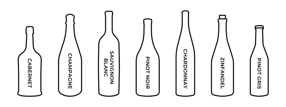 Wine bar menu illustration. Red wine types collection. Alcohol bottles icon set. Champagne bottle sign. Sauvignon, chardonnay, cabernet and zinfandel design outline isolated.