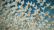 Focus on a bird shaped like a paper airplane with hundreds more blurred in the background.