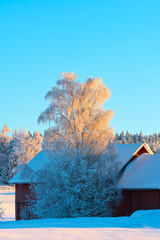 Wall Mural - Winter time in the cultural landscape of Toten, Norway, in January. Image shot in the area between Kolbu Church and Gardlausstua.