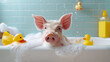 Pig Having a Relaxing Time in a Bubble Bath