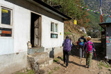 Fototapeta  - A cat is on a Himalayan hiking trail.