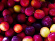 An assortment of colorful plums indicating freshness and variety, suitable for culinary arts or nutrition education visuals.