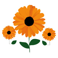 Poster - marigold background art hig