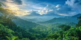 Fototapeta Paryż - breathtaking view of the lush green rainforest in Costa Rica