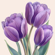 Purple tulips flowers, vector