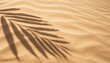 Sunny Seashore: Top View Banner of Palm Leaf Shadow on Sand