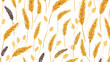 Seamless cereal pattern. Endless background with di