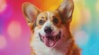 A cheerful corgi dog with a beaming smile, set against a colorful, bokeh-lit backdrop, portrays pure delight.