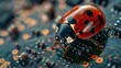 © Avve Diana  - A computer bug is a failure or error in the software or hardware of the computer, a miniature red ladybug is attached to the black PCB of the computer motherboard with soldering, the programmer can