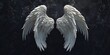 White angel wings with black background,白い天使の羽　背景は黒,Generative AI