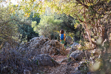 Wall Mural - A boy with a backpack walks through the forest.  a child explores the wild nature, a cheerful child walks along a path among the trees.