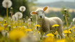 © Frank Gärtner - Serene sheep surrounded by blooming dandelions under a picturesque cloudy sky