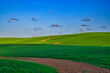 Landscape of the green fields in northern Poland at spring time.