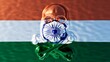Copper Skull Enshrined by the Ashoka Chakra on India National Flag