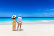 Rear view of a holiday couple standing at a paradise beach and looking at the turquoise waters of the Caribbean Sea