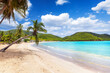 The beautiful beach of Carlisle Bay at the Caribbean islands of Antigua and Barbuda with fine sand and coconut palm trees