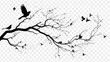 © Thuan - a tree branch with birds flying around it