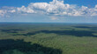 Aerial view of summer forest