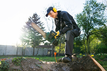 A man in uniform cuts an old tree in the yard with an electric saw.