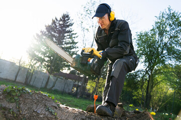 A man in uniform cuts an old tree in the yard with an electric saw.