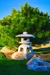 Wall Mural - Garden lantern pagoda, rock, and large bonsai pine tree along the footpath in Japanese Garden