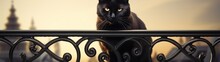 Black Cat Sitting On A Decorative Iron Railing At Sunset