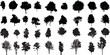 © Ayoub - silhouette tree line drawing set, Side view, set of graphics trees elements outline symbol for architecture and landscape design drawing