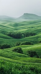 Canvas Print - Green rolling hills with trees in the valley