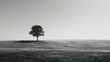 black and white photo of a lonely tree in the middle of a large grassy field