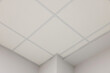 © New Africa - White ceiling with PVC tiles indoors, low angle view
