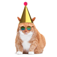 Wall Mural - Cute cat with party hat and sunglasses on white background