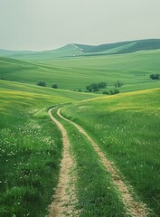 Wall Mural - Countryside dirt road through a lush green grassy hilly landscape